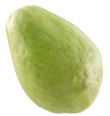 MYS CAM SL English Gourd 400G