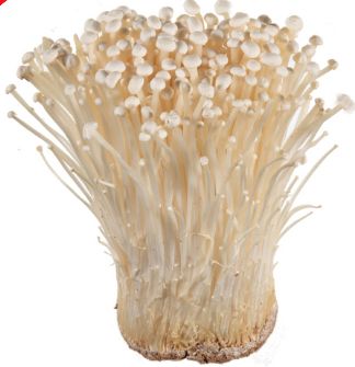 CHN/MYS/TWN Enoki Mushroom 200G