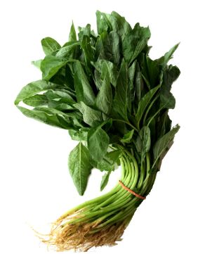 MYS Baby Sharp Spinach 250G