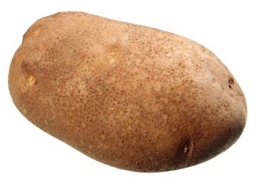 USA Russet Potato