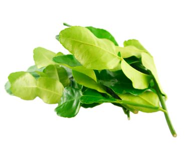 THA Lime Leaf 50G