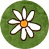 Wild Daisy Art