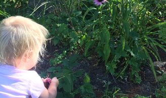 Perennial flower bed with child 