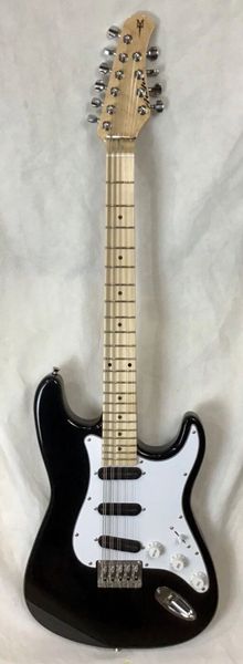 10 string electric mandocello / cittern Guitar conversion
