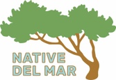 Native Del Mar