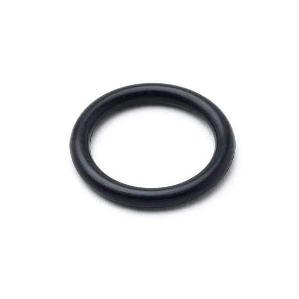 W000275630 - SAF CPM 450 O-Ring