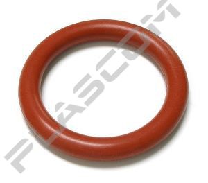 W000325122 - SAF OCP150 O-Ring PK 5