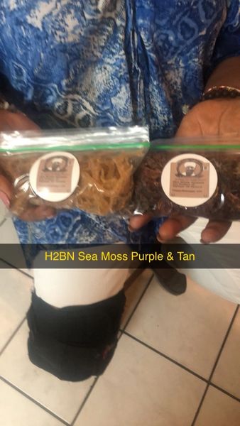 H2BN Sea Moss