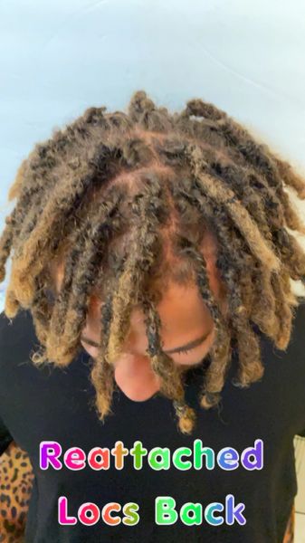 How can I style my baby locks? : r/Dreadlocks