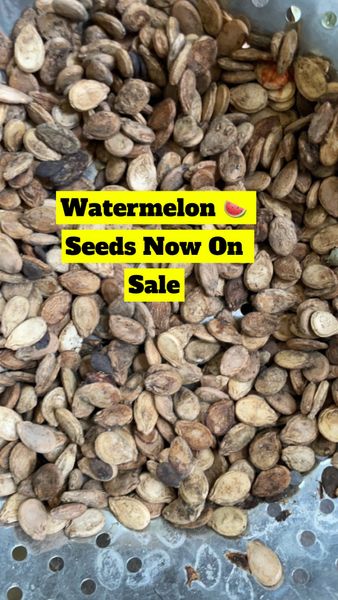 Watermelon Seeds