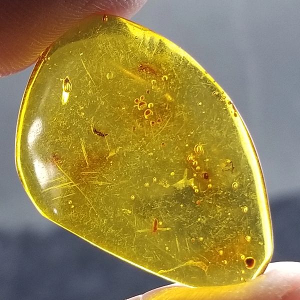 #0873 large flat Dominican Amber with 3 Insect inclusions