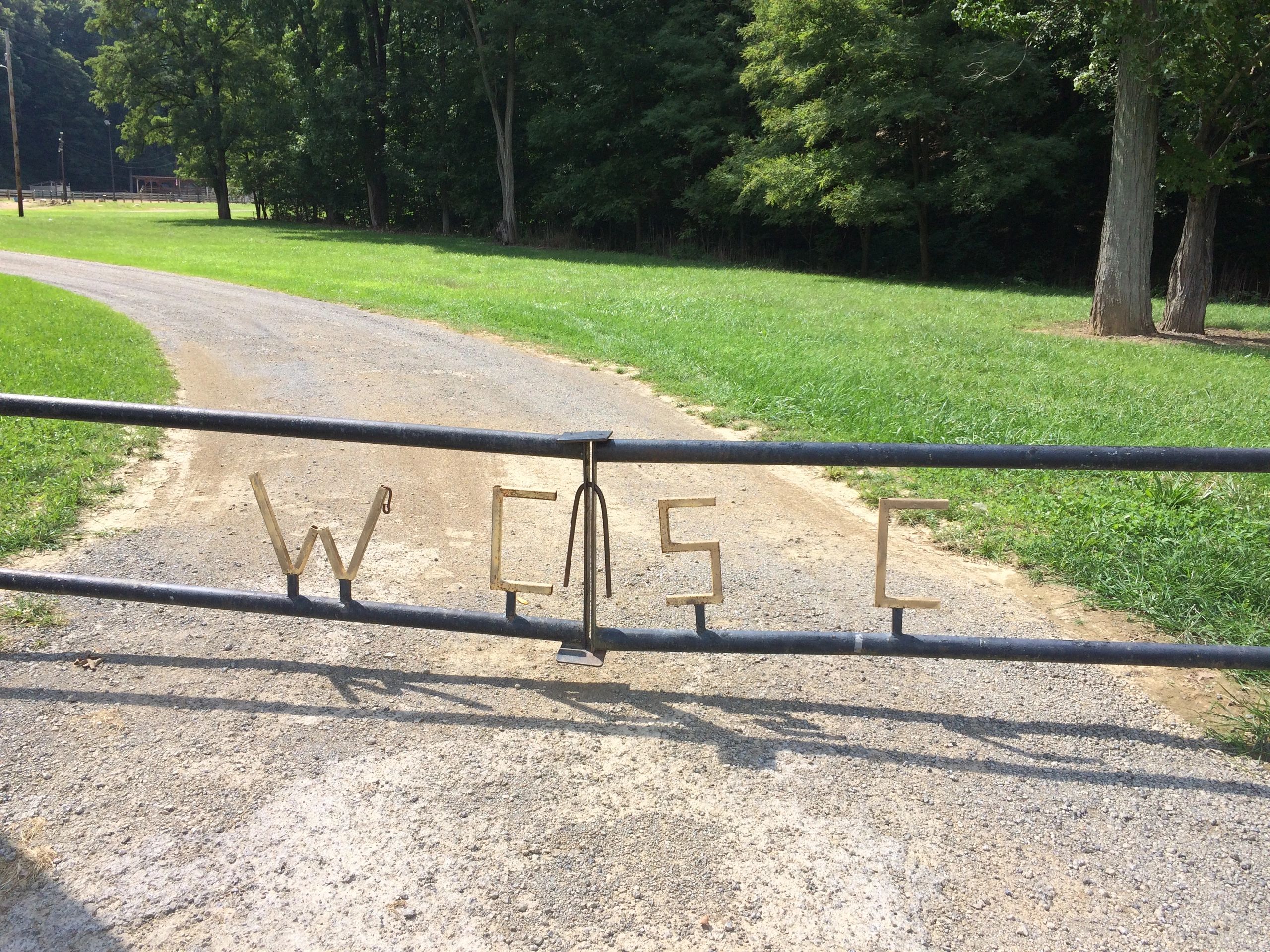 wayne-county-saddle-club