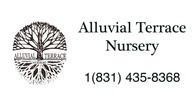 Alluvial Terrace Nursery

(831)435-8368
