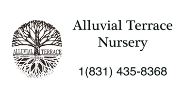Alluvial Terrace Nursery

(831)435-8368
