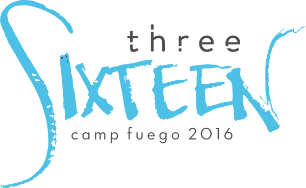 2016 Camp DVD