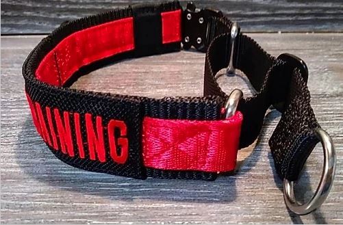 Tactical martingale dog store collar