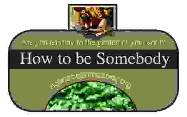 Logo for How to be somebody book by Mark Mendes