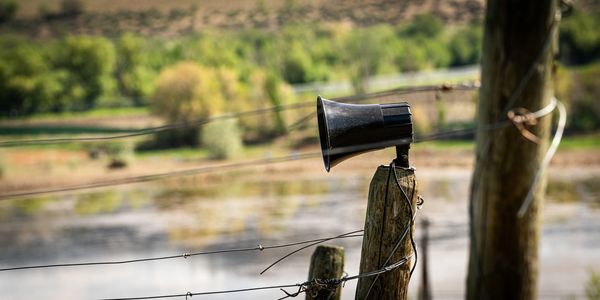 Speaker in the vineyard playing classical music