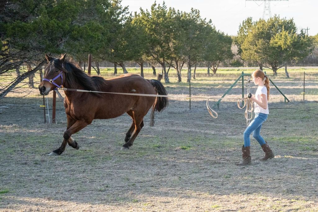 Girl leading horse during equine-assisted learning session