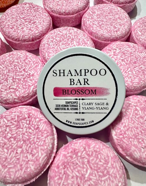 Solid Shampoo