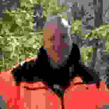 North American Dogman Project - Research, Cryptid
