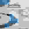 image253