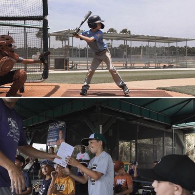 THBA Partners With Little Leagues