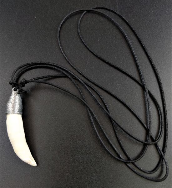 Saltwater Crocodile Tooth Necklace