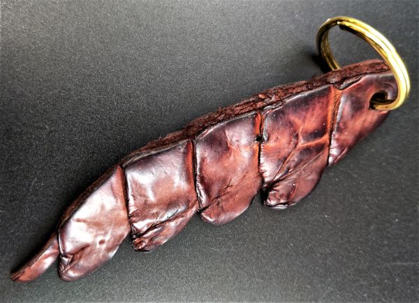 Saltwater Crocodile Tail Keychain