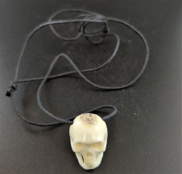 Buffalo Bone Skull Necklace