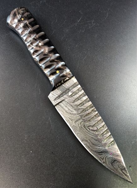 Damascus Horn Shark Tooth Knife