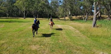 Trail  Rides