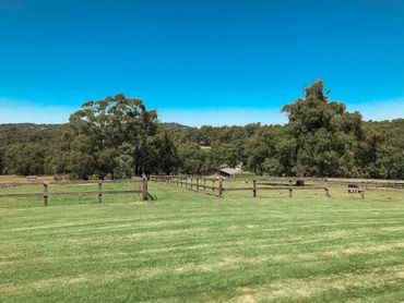 Beautiful Horse Heaven