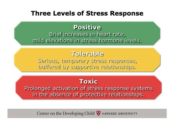 Allostasis: When Stress Tips Over