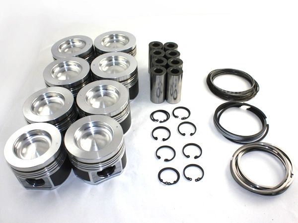 MAHLE Motorsports Cast Performance Pistons 01-10 Duramax (.020)