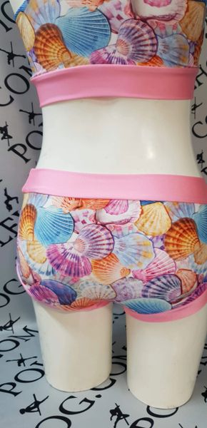 Sea shells bottoms
