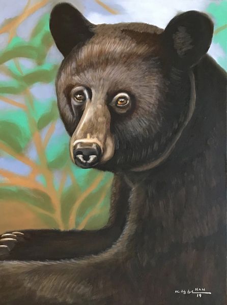 Black Bear - Portrait