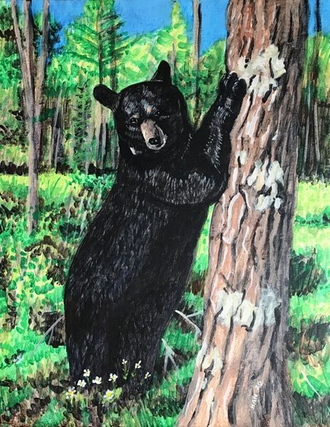 Black Bear - Tree - Framed