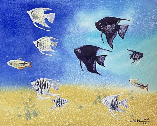Fish Tank - Angelfish