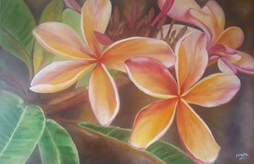 "Plumeria" Oil on Canvas, 24 in. X 36 in. (Not Available)