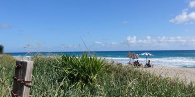 Palm Beach list of beaches and parks