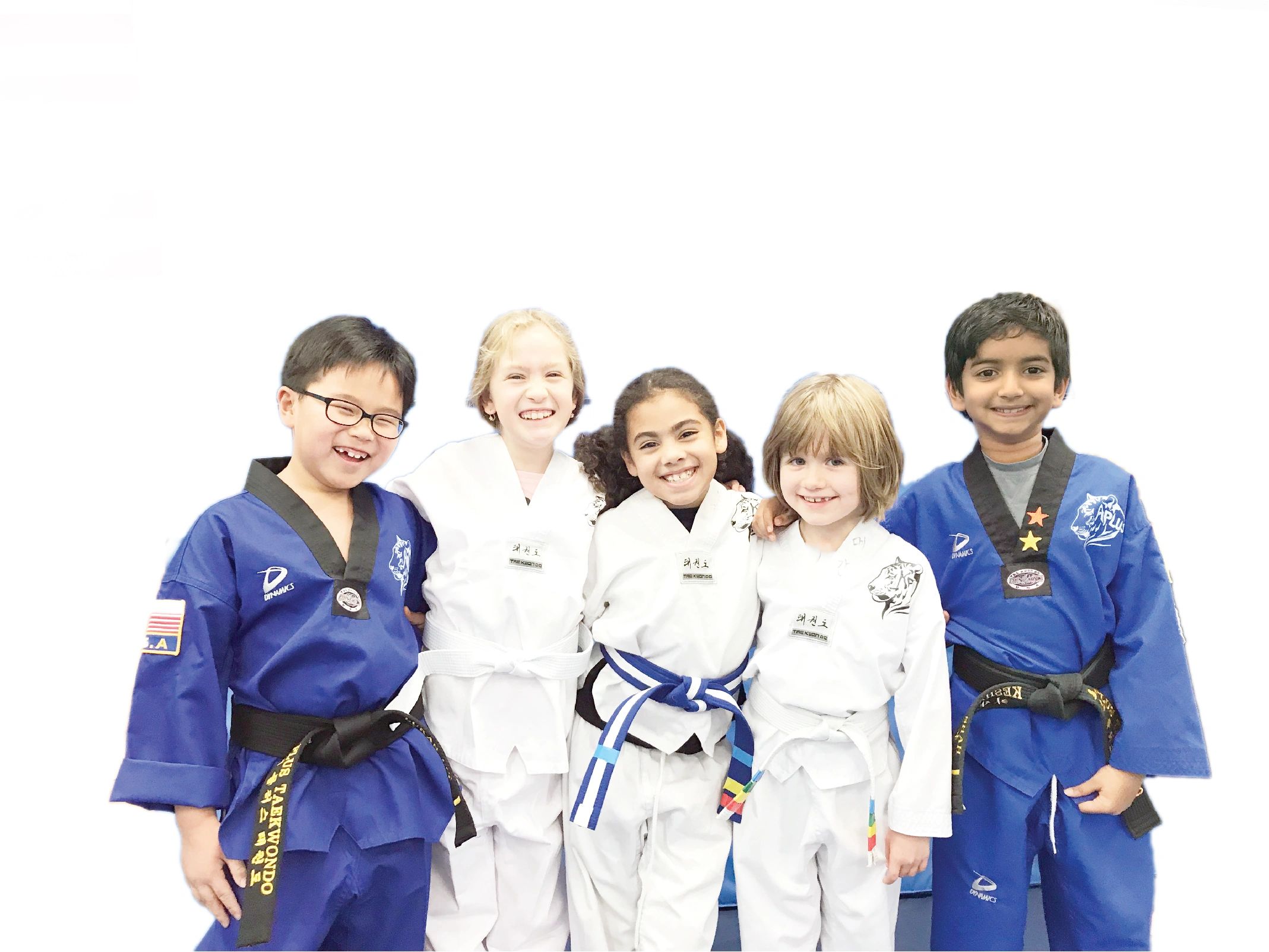 A Plus Tae Kwon Do: Martial Arts in Arlington Heights