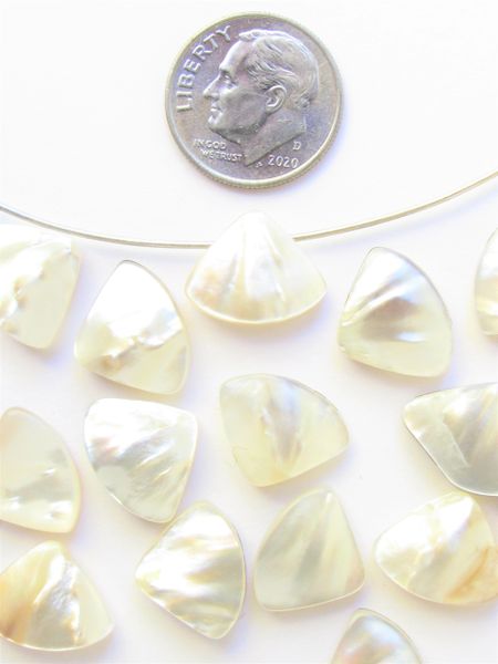 White SHELL PENDANTS 11x14mm Fan Triangle Natural top Drilled from side bead supply for making beachy jewelry