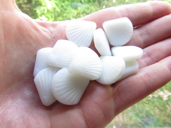 Cultured Sea Glass BEADS 21x19mm flat Shell OPAQUE WHITE bead supply for making beach jewelry