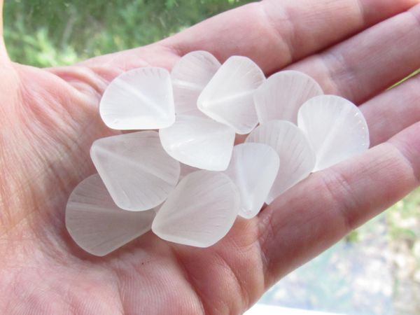 Cultured Sea Glass BEADS 21x19mm flat Shell CLEAR transparent frosted matte finish bead supply for making jewelry