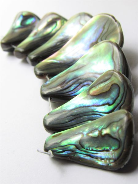 Abalone Shell PENDANT Set Necklace Centerpiece Graduated Size Free form polished making jewelry bead supply