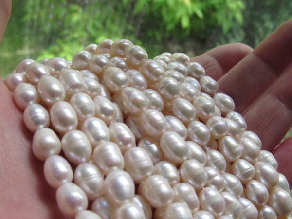 Cultured Freshwater PEARLS 7-8mm White Pearl BEADS Iridescent Luster bead supply