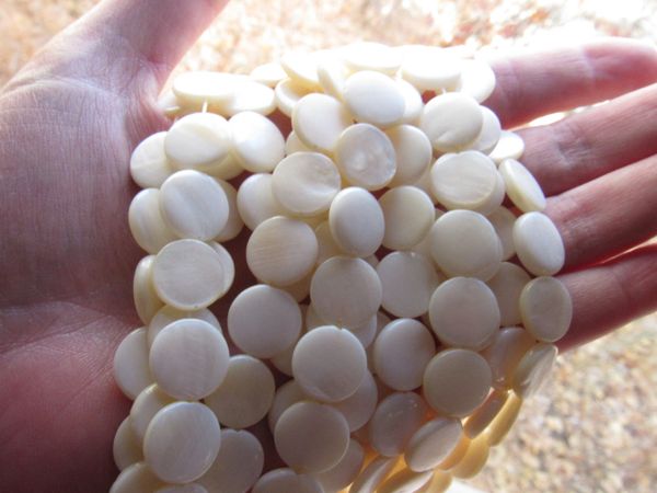 Bead Supply BEADS 13mm Coin Natural White Shell flat length drilled for making jewelry