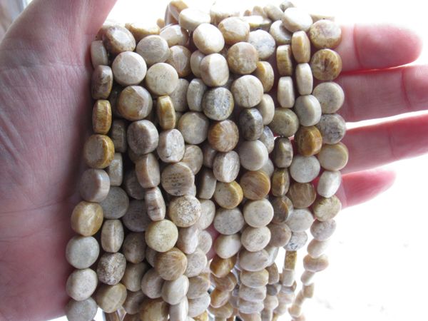 Fossil Coral BEADS 10mm Coin Natural Fossil beads for making jewelry