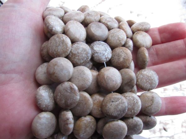 Fossilized Coral BEADS Coin 16mm chrysanthemum Fossil bead supply for making jewelry